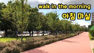 Walk together in the morning in Busan, Korea / 아침 마실 가요