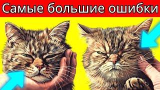 Распространенные ошибки владельцев кошек: не расстраивайте кошку (№1 вас удивит)