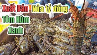 Get rich from lobster farming in Cam Ranh Khanh Hoa