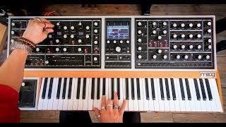 The Moog ONE In Action