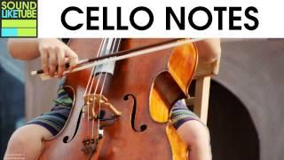 14 Real Cello Note Sound Samples [Free & High Quality]