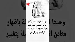 عبارات و أقوال وحكم رائعة اجمل عبارات وكلمات| اقتباسات وخواطر مؤثرة مكتوبة