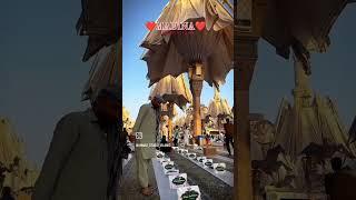 Mujahid sunni network https://www.youtube.com/@mujahidsunninetwork