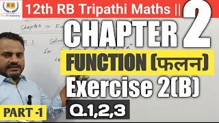 12th || Function (फलन) || Exercise 2(B) || RB Tripathi Math || Q. 1,2,3