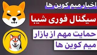 اخبار میم کوین ها : از سیگنال شیبا تا بازار میم کوین ها