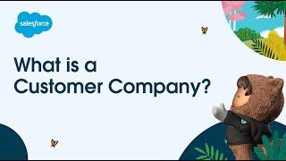 What is a Customer Company?