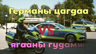 Европын хамгийн том улаан асрын түүх.Гоё түүхүүд Goe tuuhuud mongol heleer kino Barimtat kino