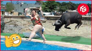 Best Funny Videos Of The Week #197  TRY NOT TO LAUGH  Hilarious Instant Regret Fails Compilation