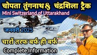 Chopta Tourist guide | Chopta to tungnath trek on snow || tungnath snowfall update January 2025