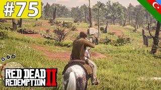 FƏRQLİ HEYVAN OVLARI, CİNAYƏTKARLAR PULUMUZU OĞURLADILAR - RED DEAD REDEMPTİON 2 | 75.BÖLÜM