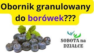 Czy możemy nawozić borówki obornikiem granulowanym?