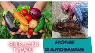 Surjani town vegetable farming