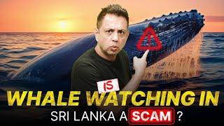 I Went Whale Watching in Sri Lanka and You Won’t Believe What I SAW!!