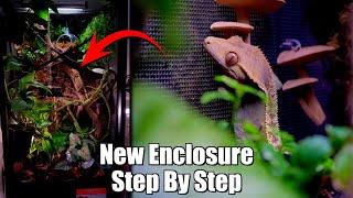 18''x18''x36" Bioactive Setup | Crested Gecko Enclosure How To