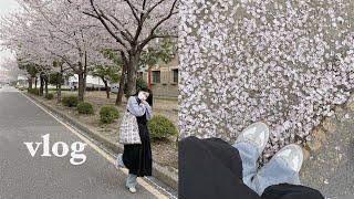 vlog. 대학생 일상 브이로그 | ootd | 새 필름카메라 (캐논 뉴오토보이) | sleyrinn