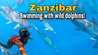 Ultimate BUCKETLIST ACTIVITY in Zanzibar | Swimming with wild DOLPHINS at Mnemba island 