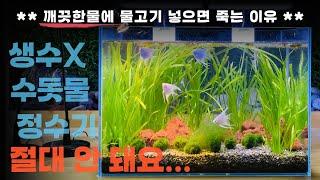 제발 맹물에 물고기 넣지마세요. 바르르 떨다가 결국 죽습니다.(특히 구피 테트라 금붕어)