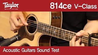 [버드뮤직] Taylor Guitars 테일러 814ce v-class 희나리(구창모)