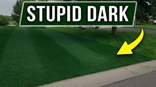 Two Summer Applications for a STUPID DARK LAWN - Results Shown!