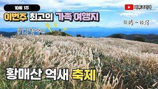 10월1주 최고의 가족 여행지  | 황매산 억새 축제  10월5일 시작 | 전국에서 가장 편하게 갈 수 있는 억새 명산 | 10분 만에 멋진 뷰 | 산청 다랭이논 드론