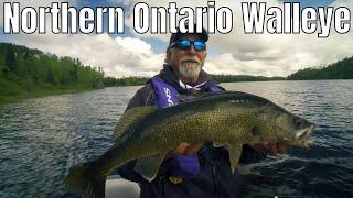 Giant Walleye in Northern Ontario | Fish'n Canada
