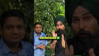 10 लाख पर एकड़ गारंटीड कमाए  || Hass Avocado Farming in India #avocado