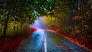 Rainy Road Relaxing Meditation Music - Healing, Anxiety, Sleep, Soothing