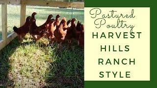 Pastured Poultry - Harvest Hills Ranch Style