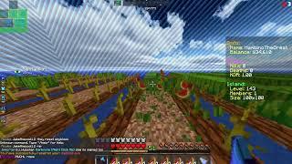 MCCENTRAL, new skyblock season! grinding while talking