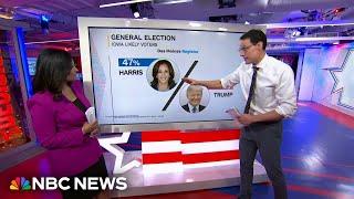 Steve Kornacki reacts to Iowa poll showing Harris with a three-point lead over Trump: ‘Wow’