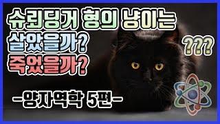 슈뢰딩거의 고양이. 양자역학 5편