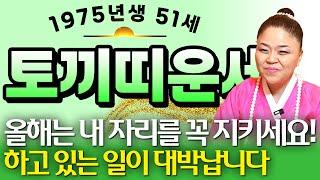 ⭐2025년 을사년 1975년 51세 토끼띠운세⭐두번 다시 없을 일생일대의 기회가 왔습니다! 힘들었던 일들을 보상 받고 조상님이 올해 수백억 벌어다주는 75년생 51세 토끼띠 운세