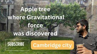 Newton Apple ಮರ | Cambridge University | karnataka | Kannada vlog| Mr Monk