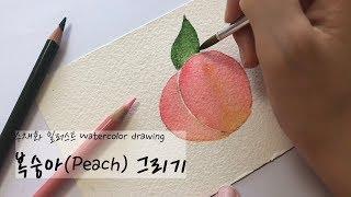 수채화 일러스트, 귀여운 복숭아 과일 쉬운 그림그리기 how to draw peach, drawing watercolor