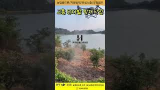 해오름드론항공의 유자밭 방제드론 작업  #농업용드론 #드론수리  #전북드론교육 #드론수업 #드론자격증 #농업용드론자격증 #드론자격증 # 농업인드론자격증
