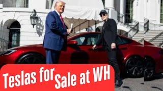 Trump Hu$tlin Teslas at the White House