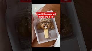 Cənubi Koreyada adi dondurma #phonk #icecream #dog #funny