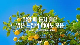 [Playlist] Yellow Lemon Like SummerHappy & Refreshing Piano MusicInstrumental Background Music