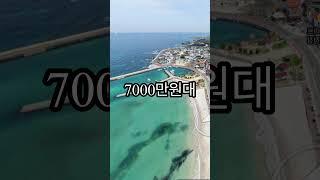 월정리해수욕장 바닷가 마을 141평 토지가 단돈 7000만원대라니! 믿을 수가 없다 풍경은 거의 공짜이고 가격은 대폭락 수준아닌가!