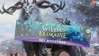 Wilds of Eldraine Set Box Opening #2 - They Definitely Beefed Up The List Pulls