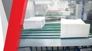 Full napkin production line 2018