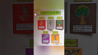 types of plant project drawing | save tree drawing #plants #savetrees #tree #short #shorts