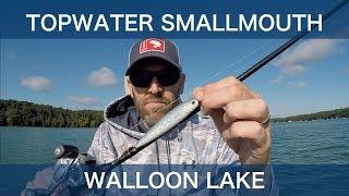 Northern Michigan Topwater Smallmouth - Walloon Lake