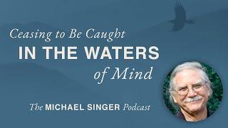 The Michael Singer Podcast: Ceasing to Be Caught in the Waters of Mind