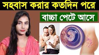 সহবাসের কতদিন পর বাচ্চা পেটে আসে ?