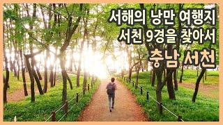 SUB) 서해의 낭만여행지 서천에서 만나는 아홉 가지 풍경 / 충남 서천 여행 편 / 서천 9경, 국내여행, 충남여행, 국내여행지추천