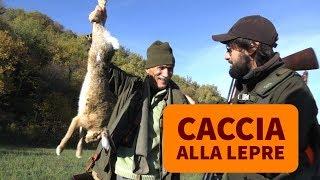 Caccia alla lepre: in montagna con i segugi italiani