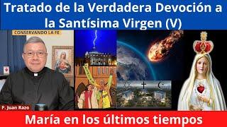 V. María en los últimos tiempos. Tratado de la Verdadera Devoción a la Santísima Virgen.