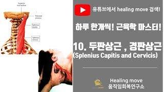 #10.두판상근과 경판상근(머리, 목널판근, Splenius Capitis and Cervicis) /근육학마스터/referred pain/MPS/trigger point