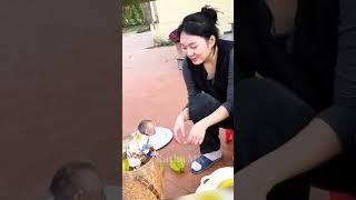 Hello everyone! Baby monkey is very Smart and Cute #familyBibi #Lala #Bibi #typ #Short #reels